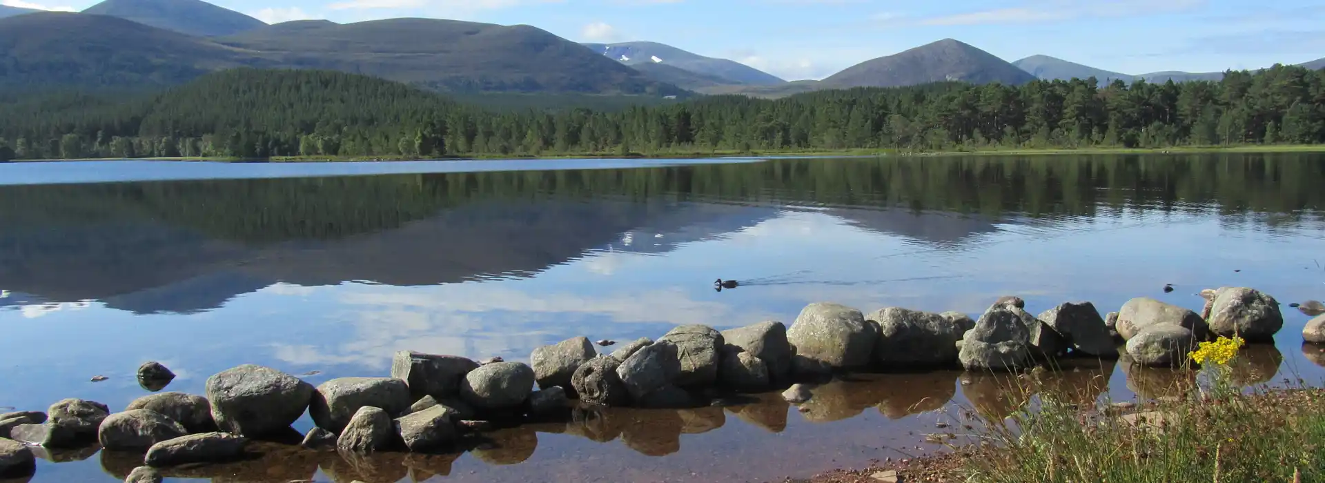 Aviemore camping pods