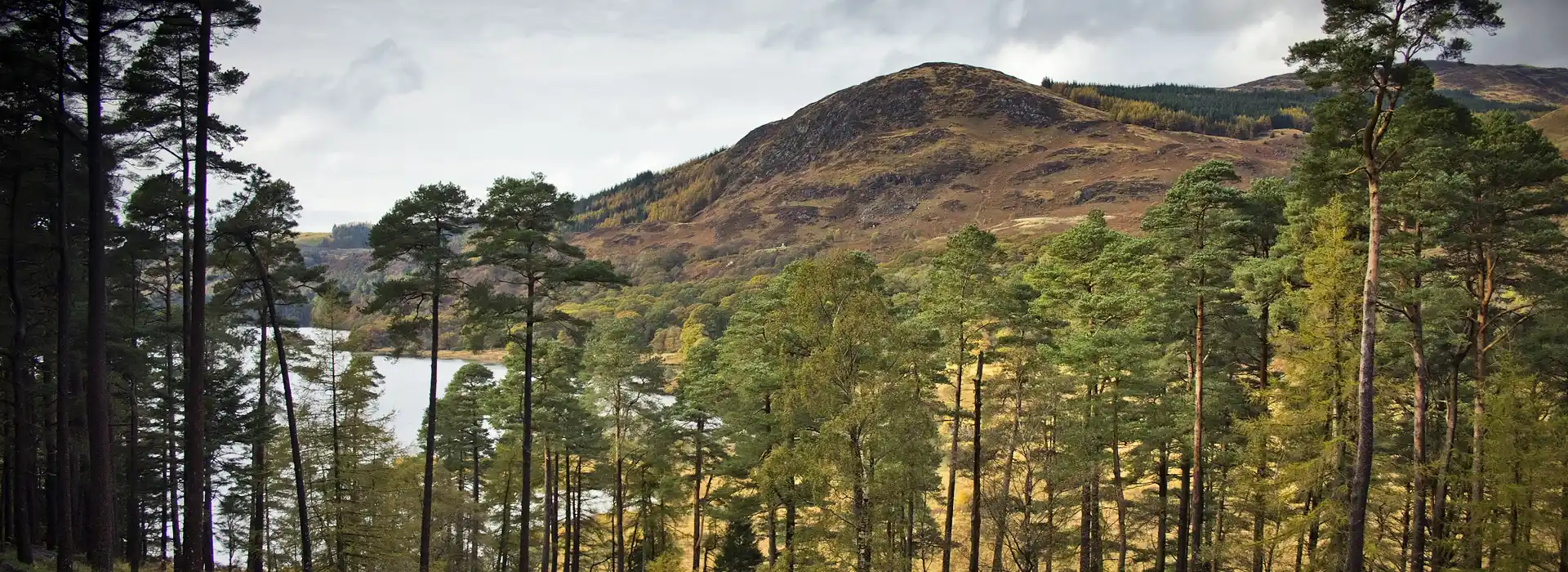 Dumfries camping pods