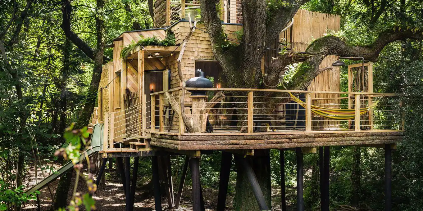 Treehouse holidays in Sussex
