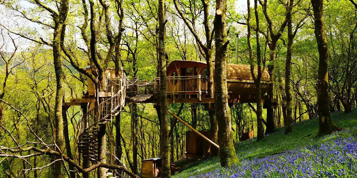 Snowdonia treehouse holidays