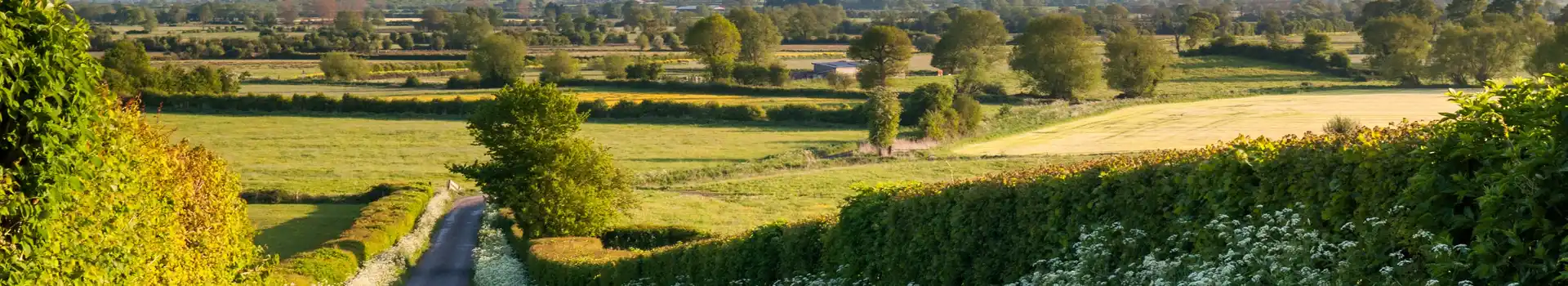 Caravan parks in Somerset