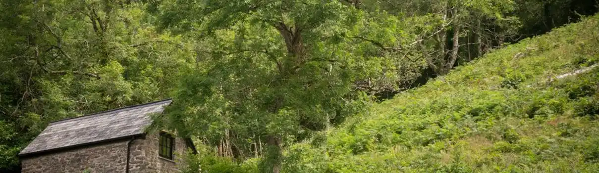 Exmoor glamping