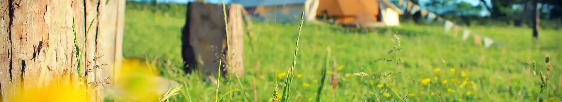 Eco campsites