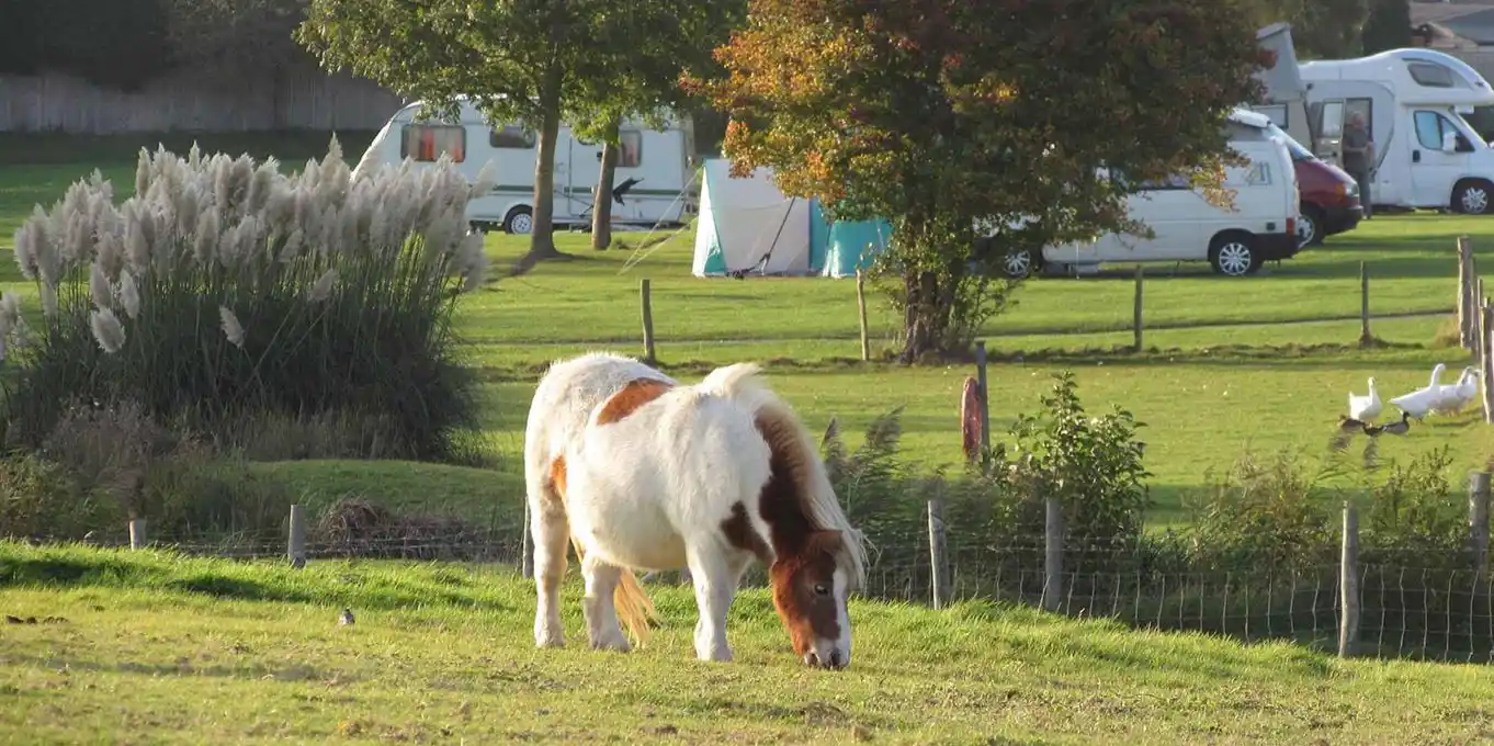 Caravan parks in East Sussex