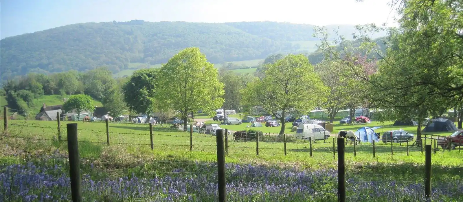 Minehead caravan parks