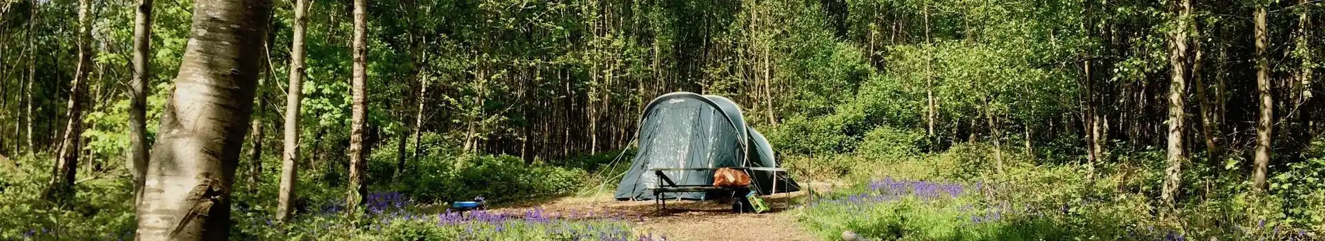 Woodland camping in the UK
