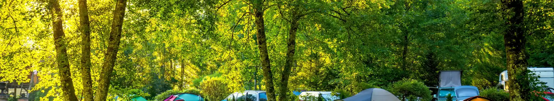 Campsites with rally fields