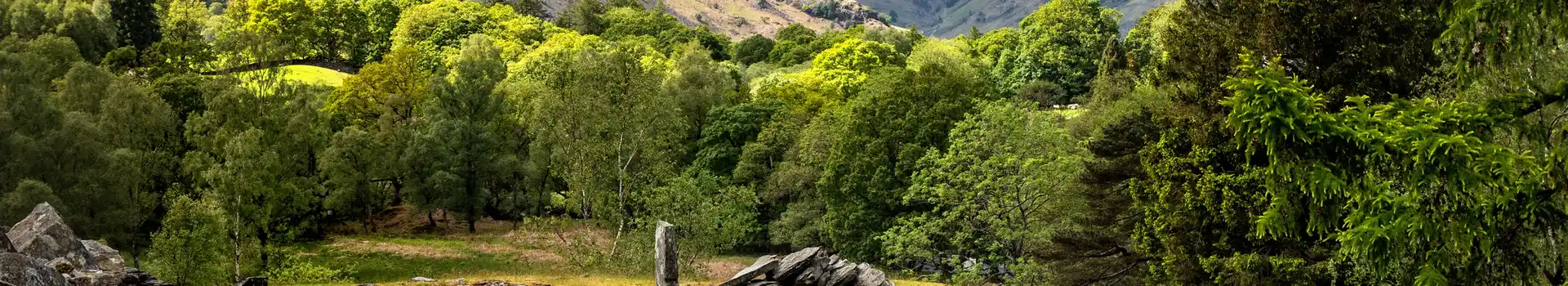 Chapel Stile