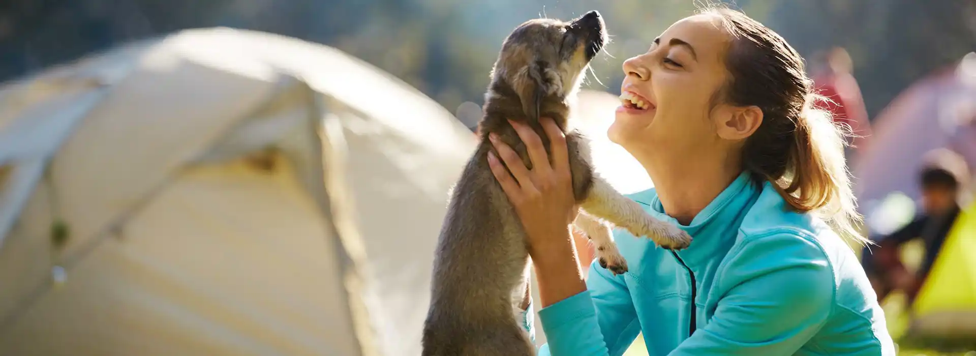 Dog friendly holiday store parks