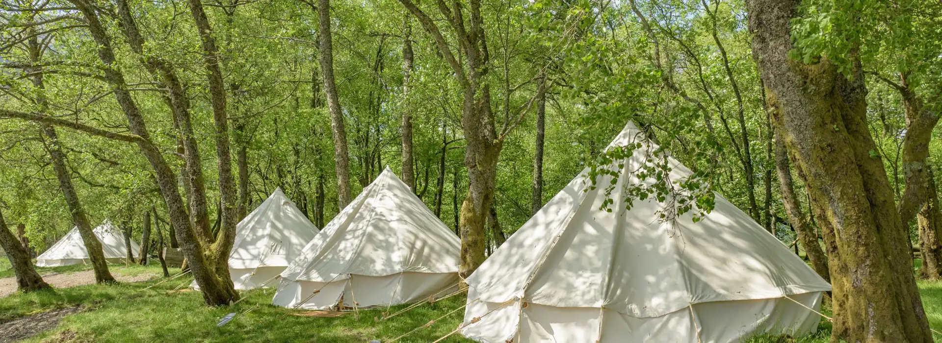 Pulborough bell tent sites