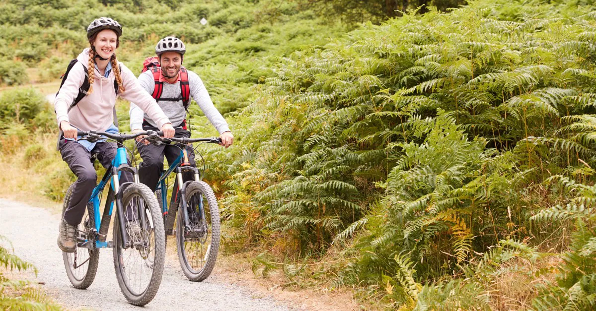 Campsites near the Tarka Trail - discover 50+ top campsites!