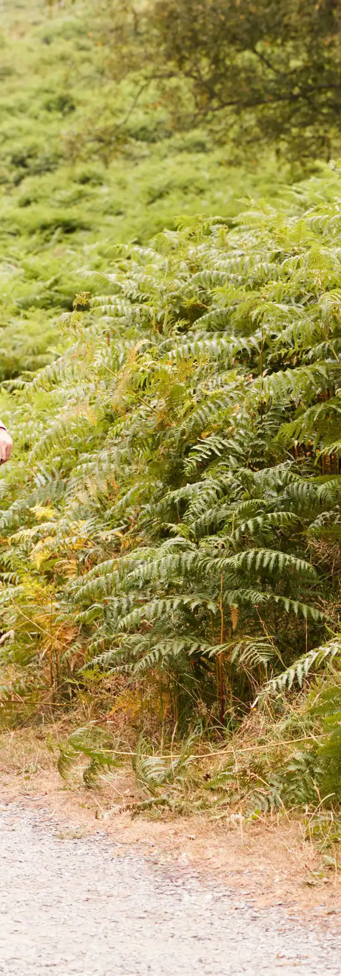 Campsites near the Tarka Trail - discover 50+ top campsites!