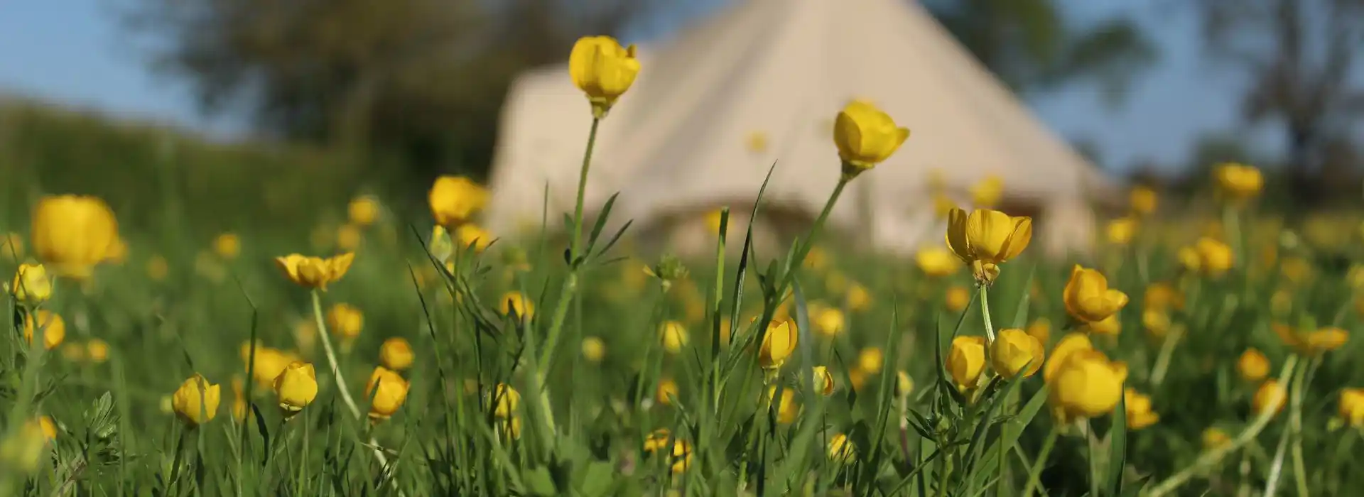 Bell tents in Suffolk