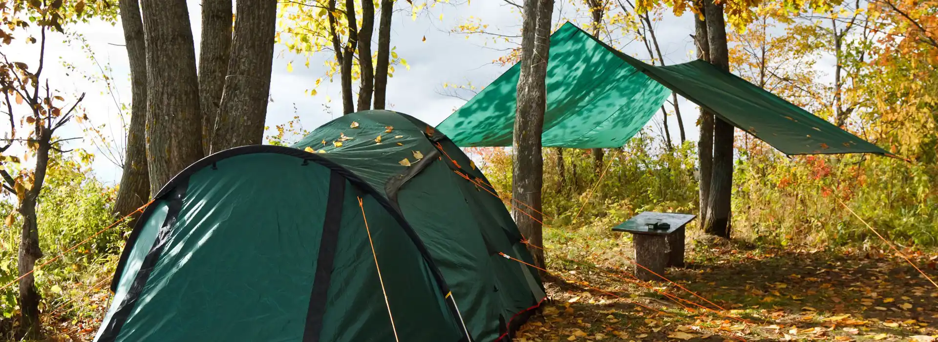All year round campsites near me 