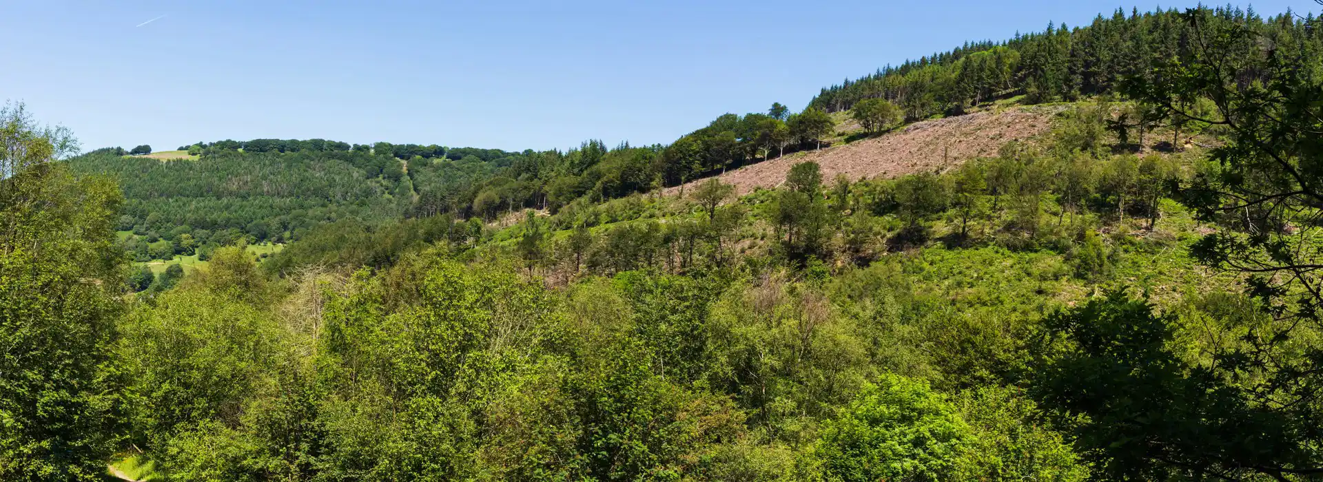 Cwmcarn