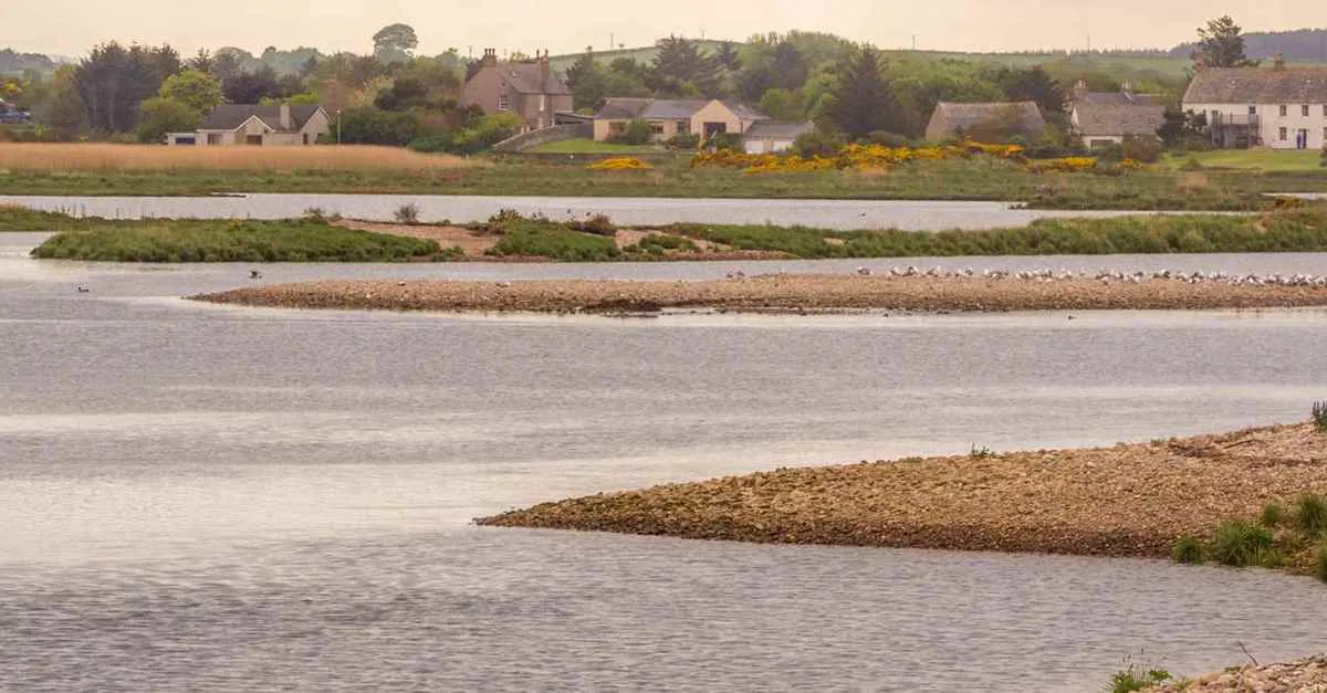 5 campsites in Spey Bay - top camping sites!