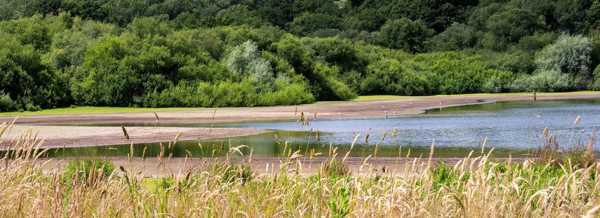 Campsites near Bewl Water