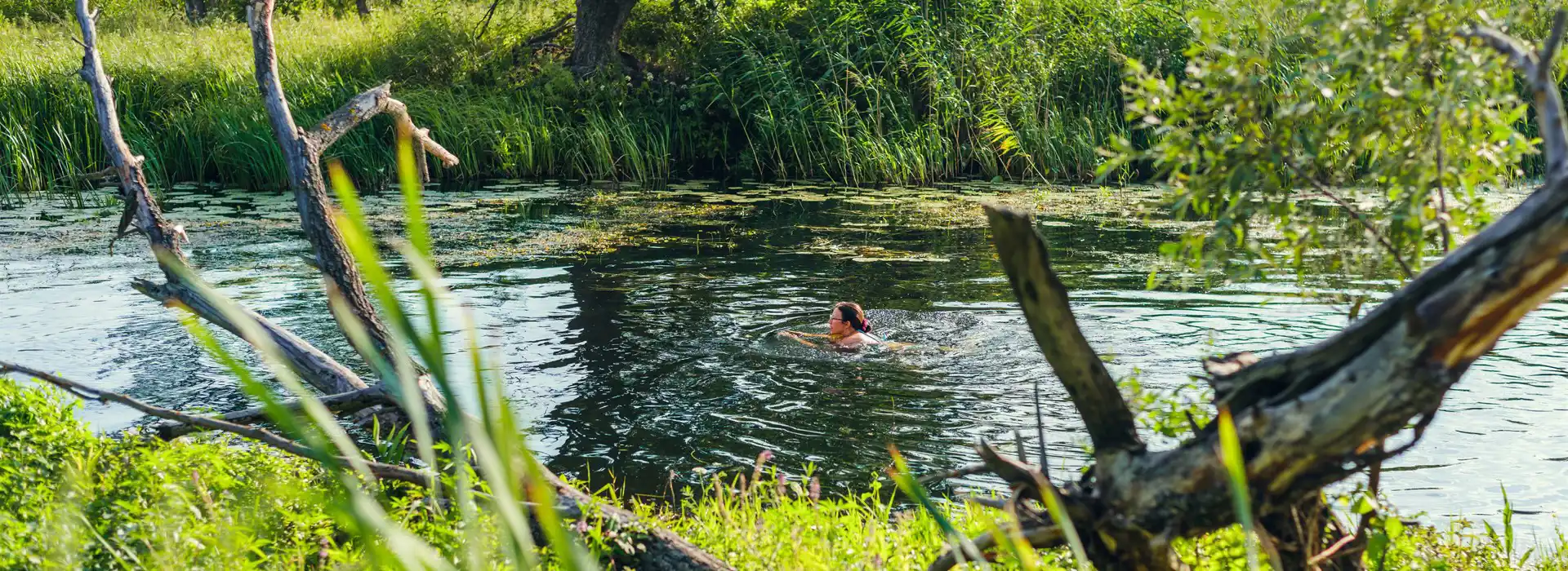 Wild campsites in Cornwall