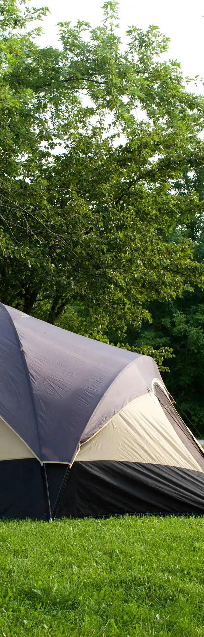 20+ pop up campsites in Devon