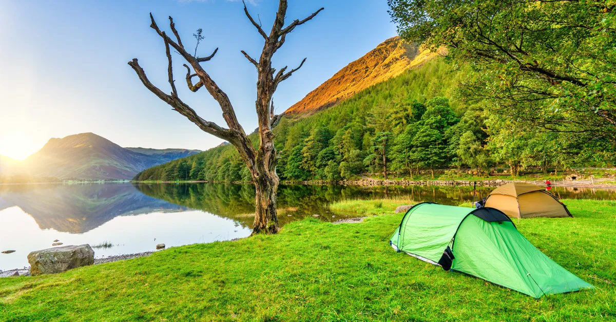 325+ back to basics campsites and pitches