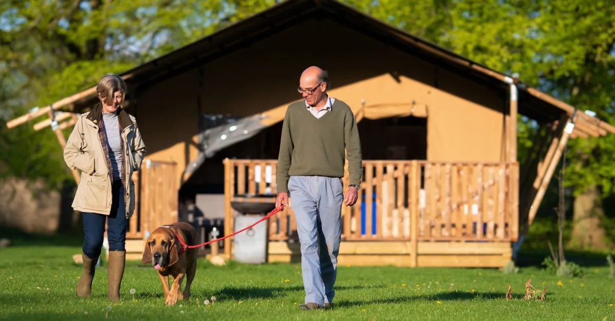 Dog store friendly tents