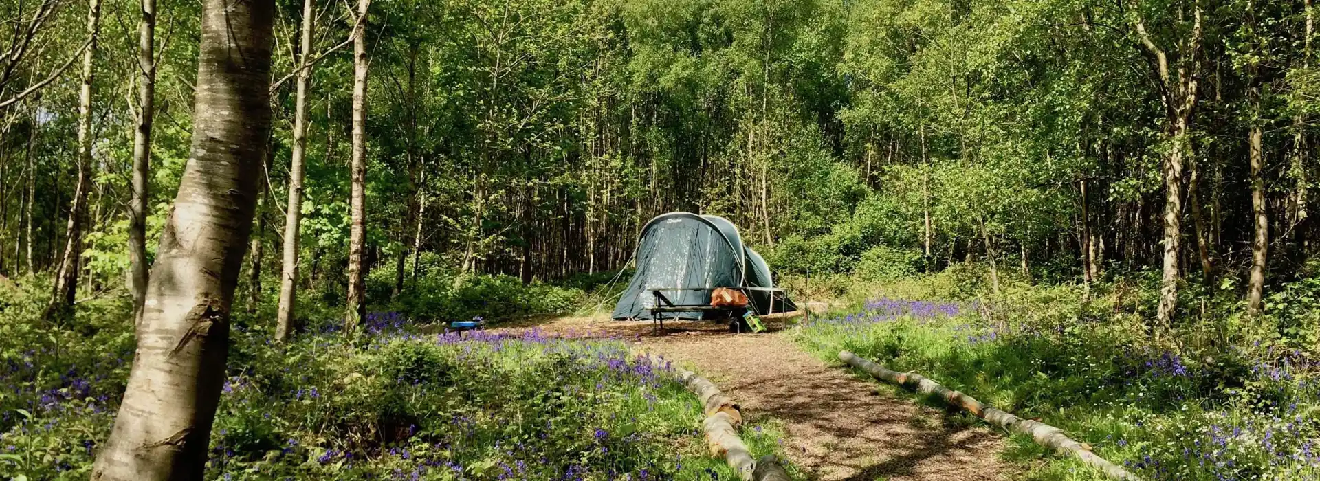 Forest campsites near outlet me