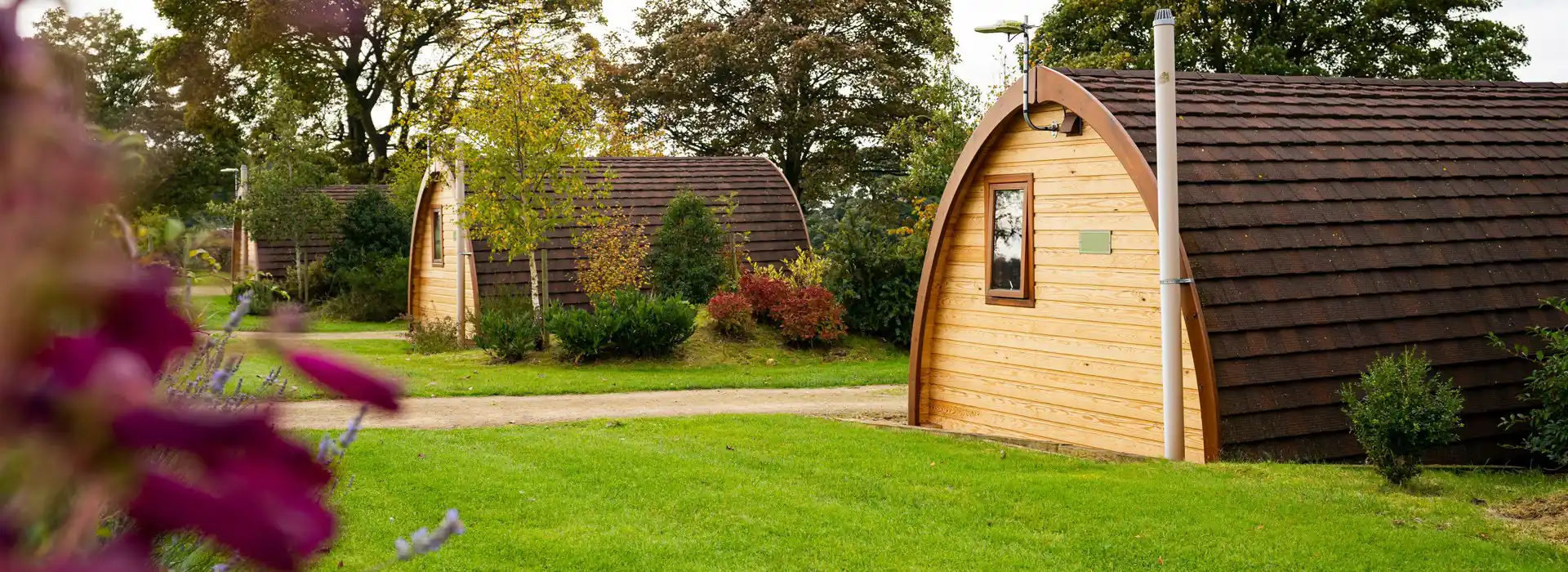 Camping and glamping pods with hot tubs in the New Forest