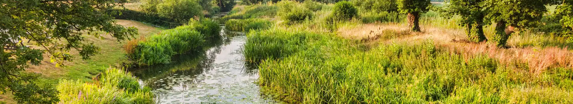 Campsites in Norfolk and Suffolk