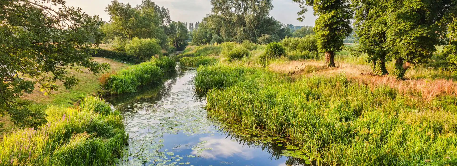 Campsites in Norfolk and Suffolk