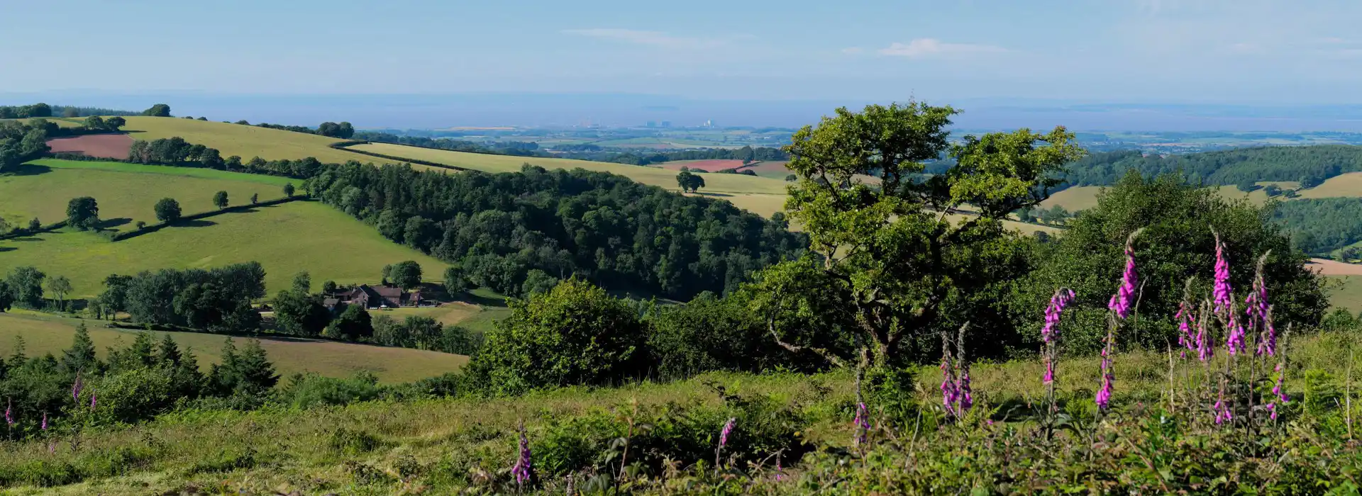 Campsites in the Quantock Hills