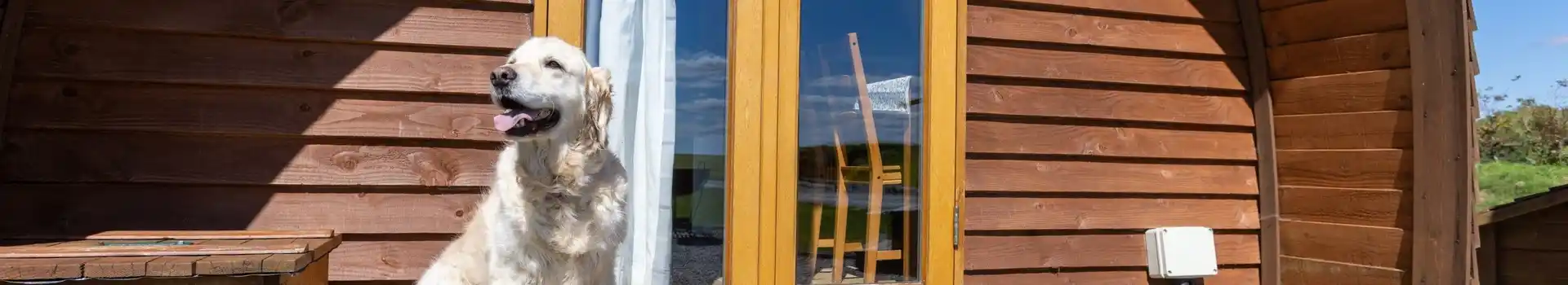 Dog friendly camping pods in Scotland