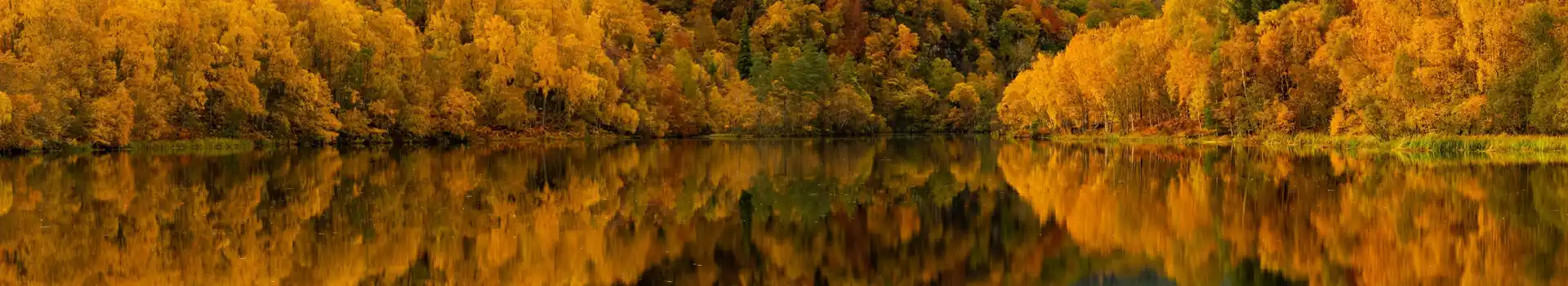 All year round campsites in Scotland