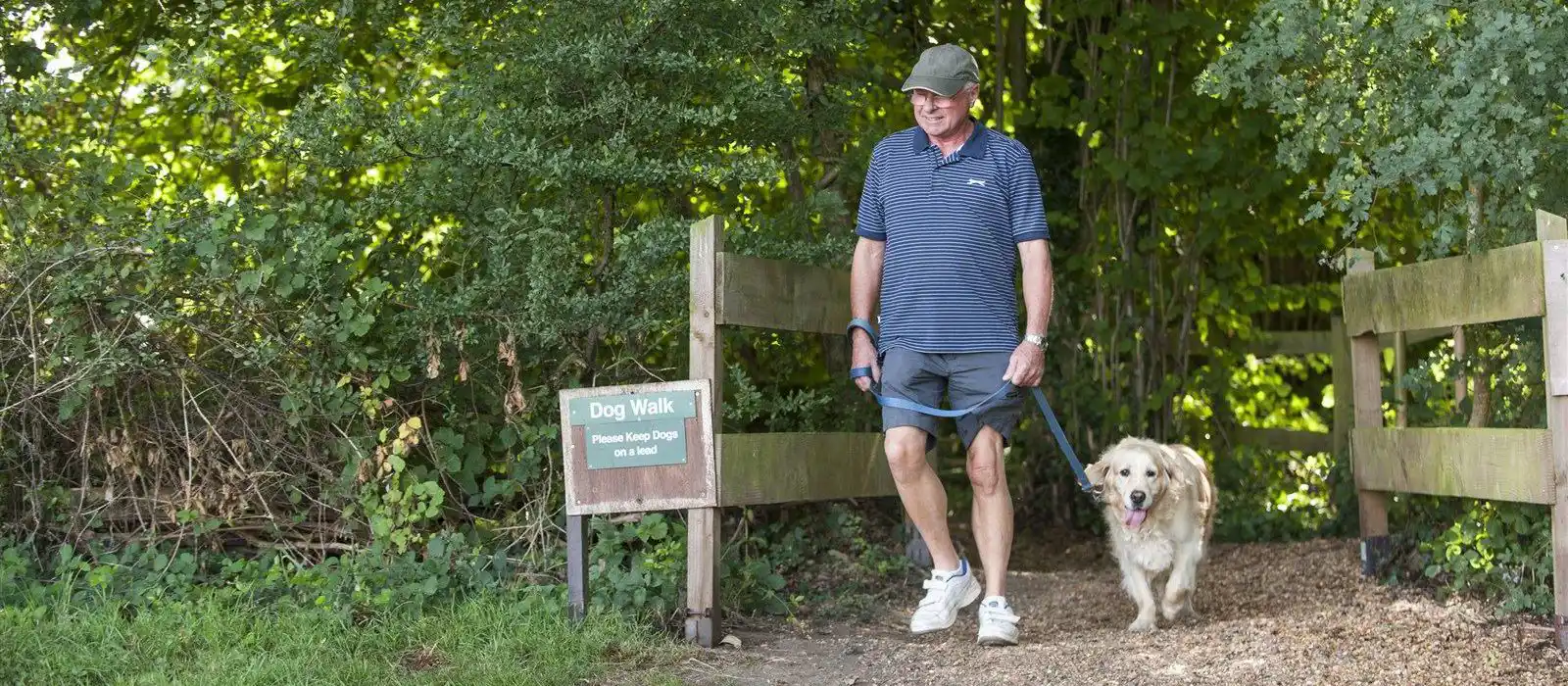 Campsites in the new forest with 2025 electric hook up