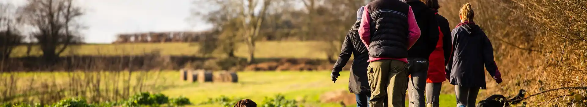 Dog friendly campsites in Sussex