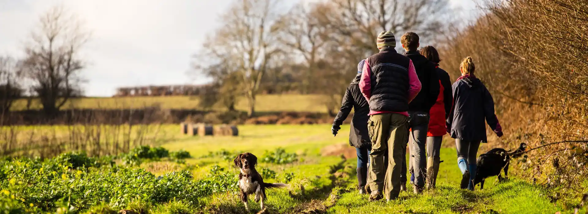 Dog friendly campsites in Sussex