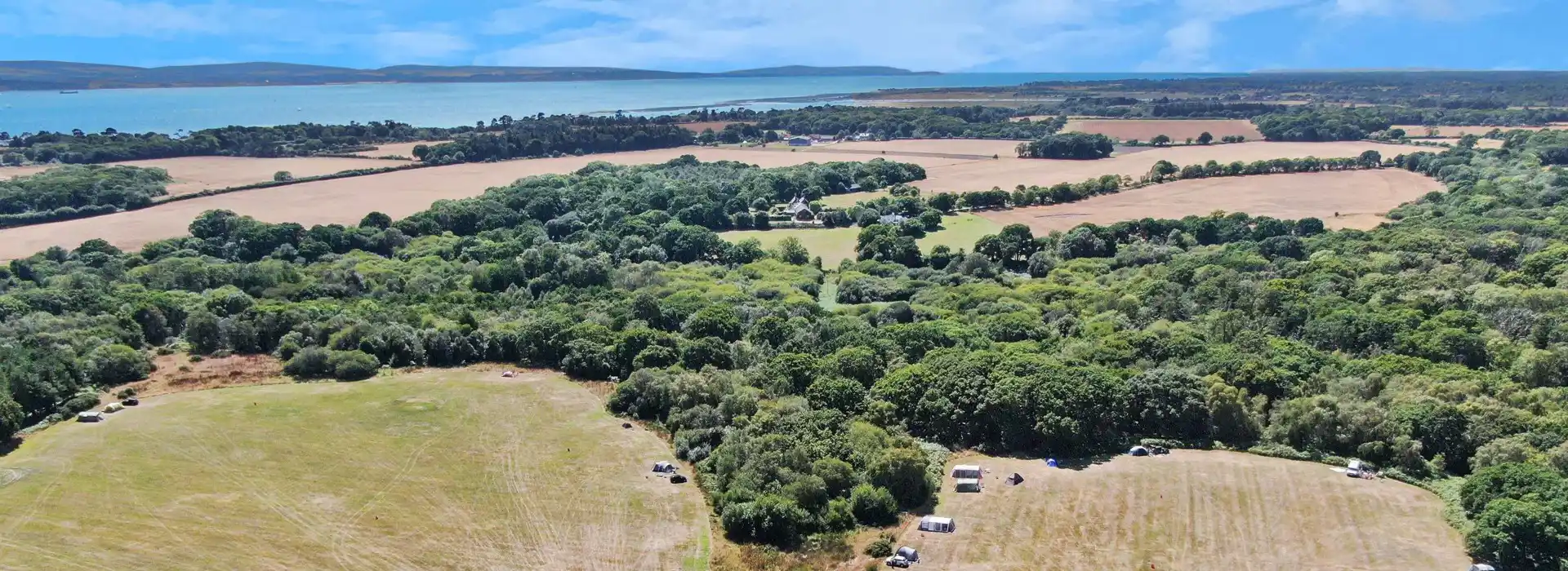 Campsites near the beach in the New Forest