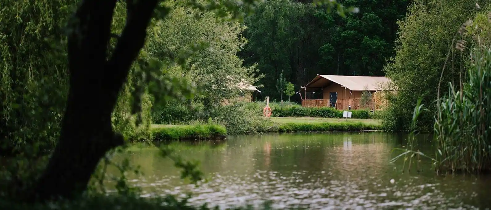 Campsites with fishing in the New Forest