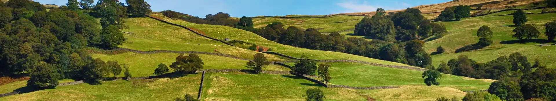 Motorhome parks on Windemere