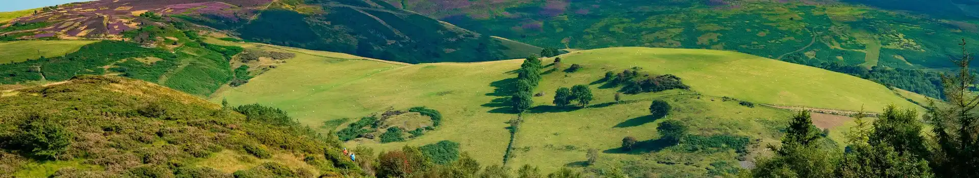 Campsites in East Wales