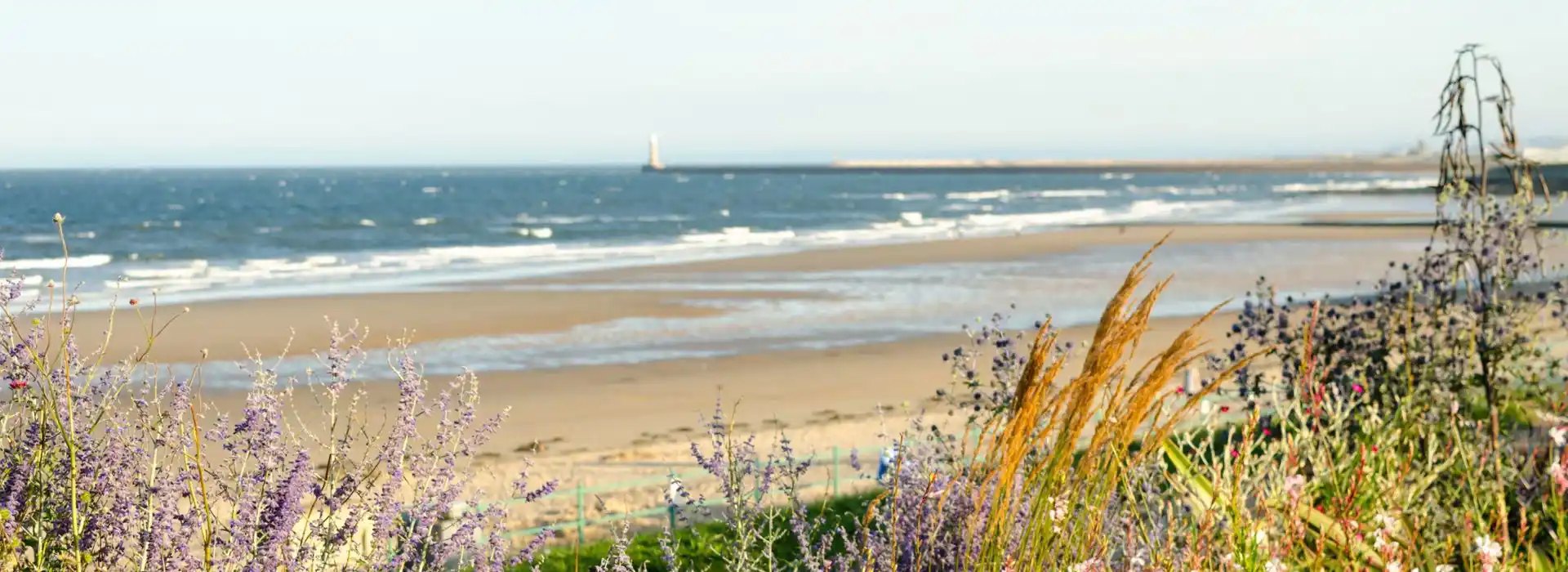 Campsites in Seaburn