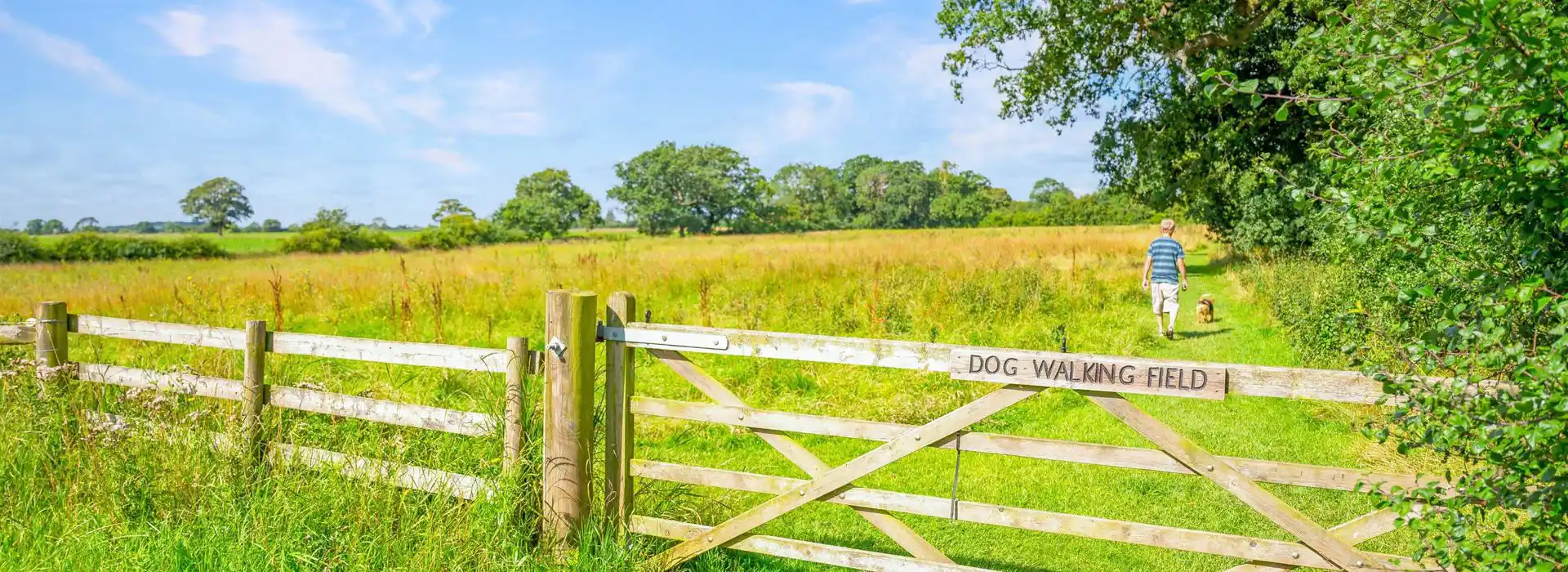 Campsites with enclosed dog area