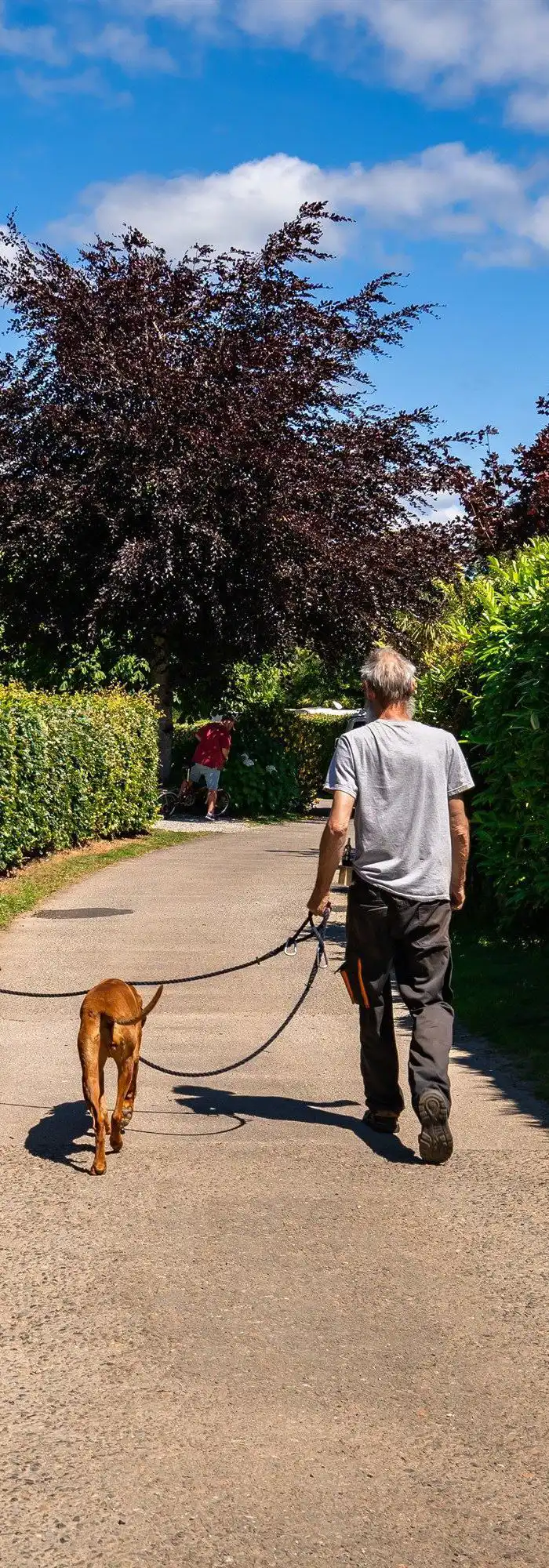 170+ dog friendly campsites near the beach in Cornwall