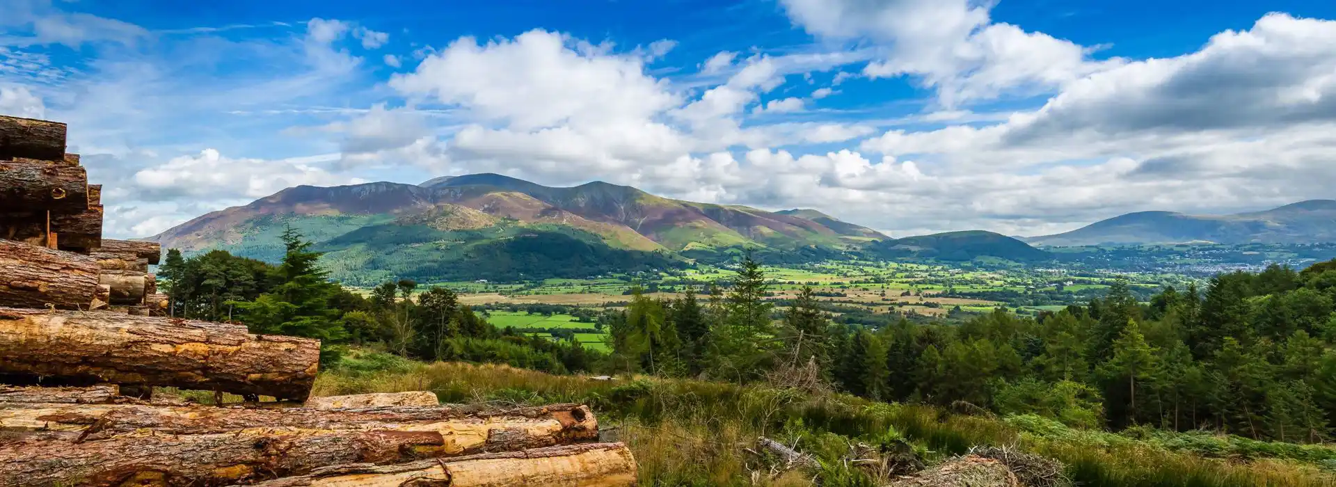 Campsites near Whinlatter Forest Park