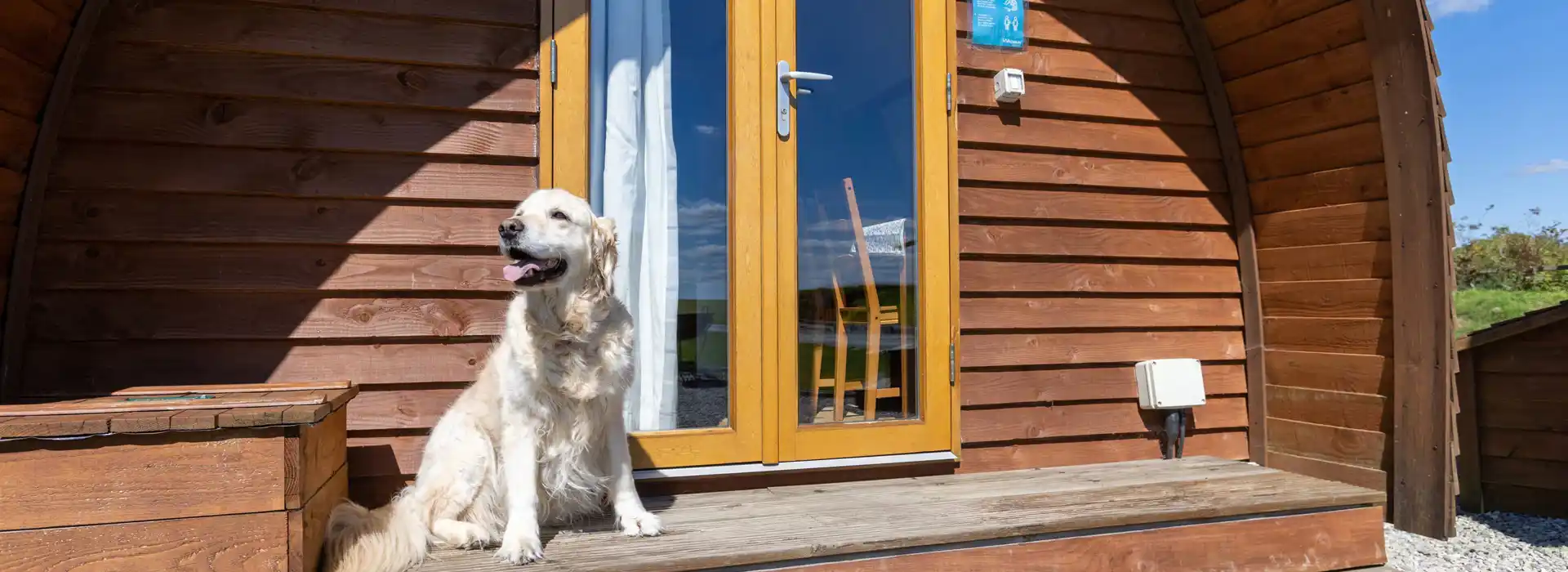 Dog friendly camping and glamping pods in Wales