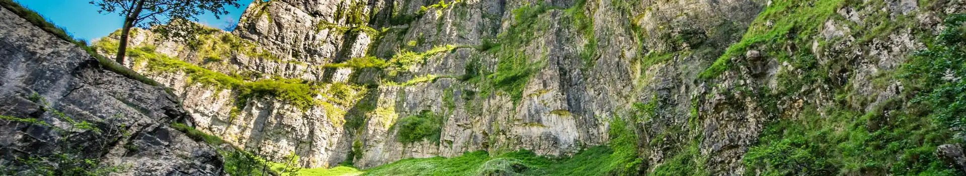 All year round campsites in Somerset