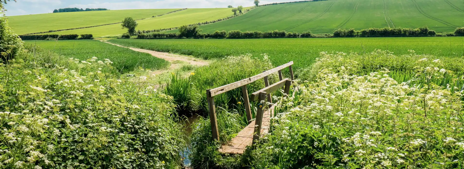 Campsites in Oxfordshire, Buckinghamshire and Berkshire