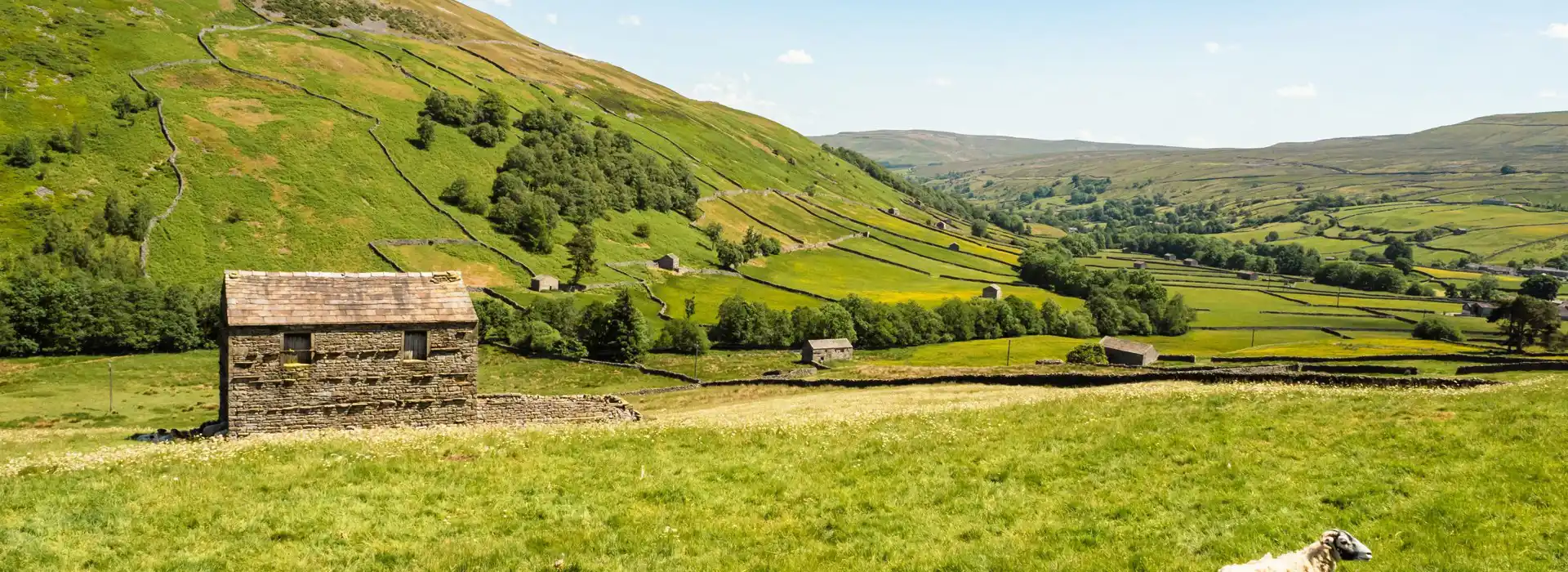 Adult only campsites in the Yorkshire Dales