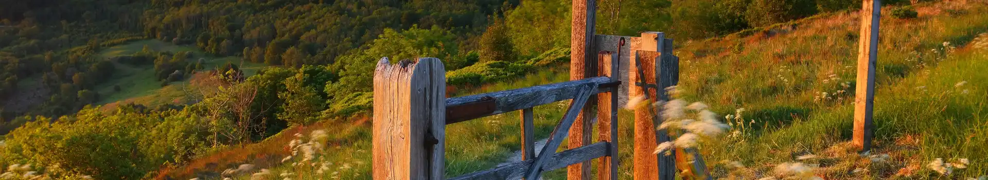 All year round campsites in North Yorkshire