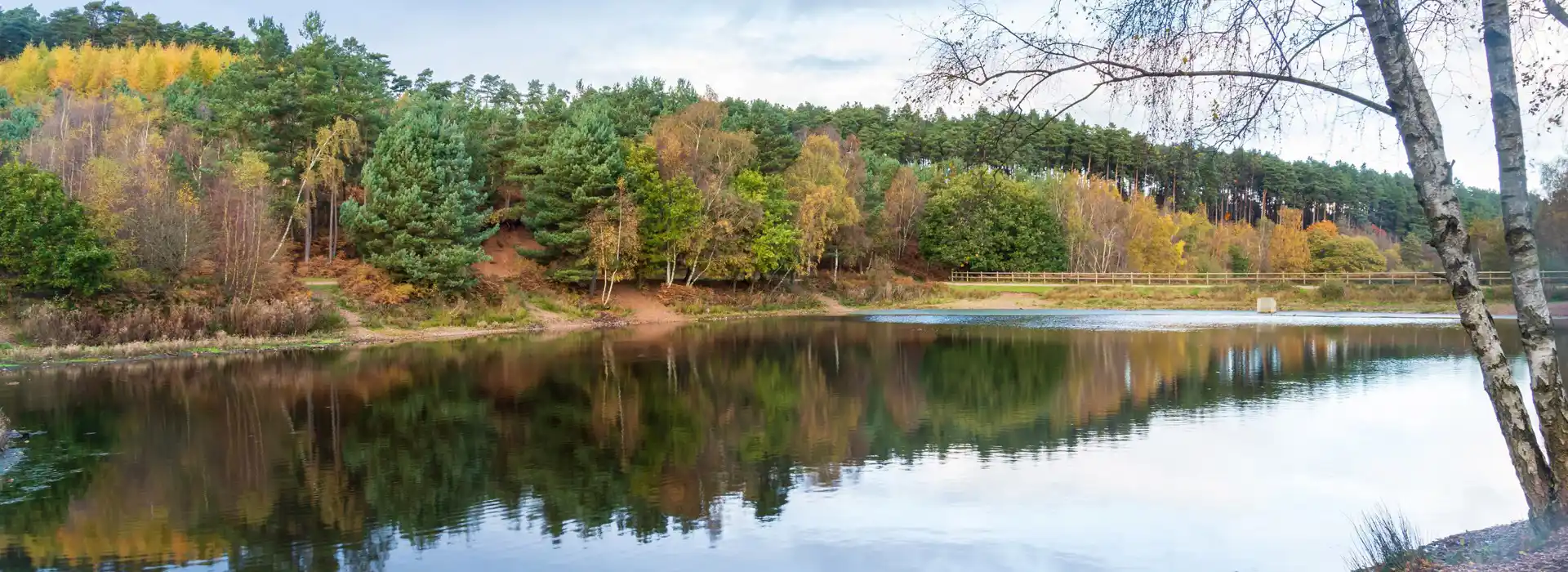 Caravan Parks in Cannock Chase