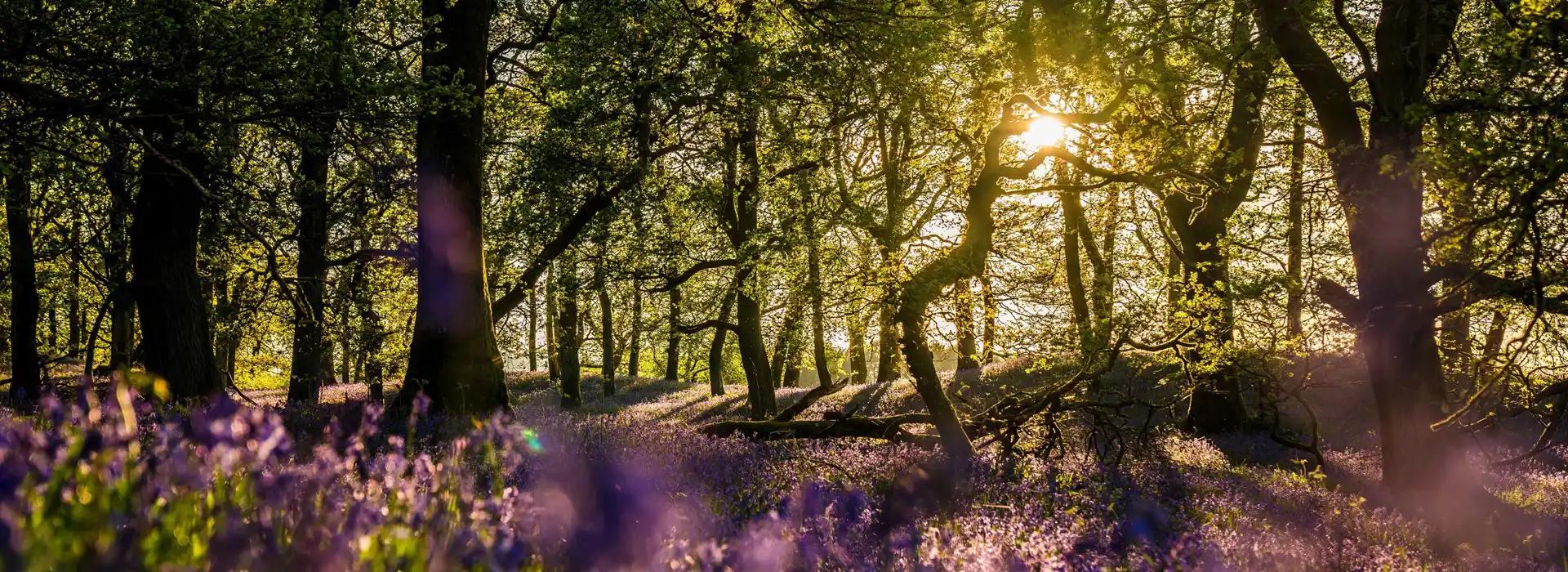 Camping and glamping pods with hot tubs in Perthshire